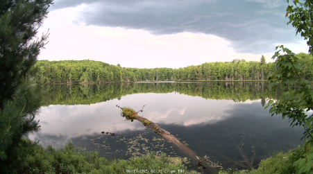Image from 2025-06-19