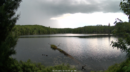 Image from 2025-06-19