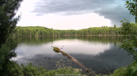Image from 2025-06-19