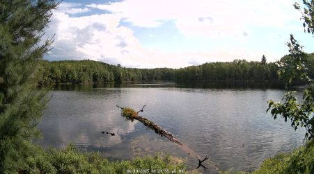 Image from 2025-06-19