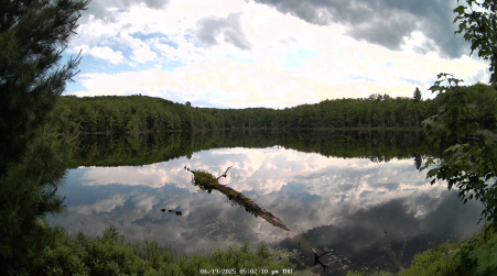 Image from 2025-06-19