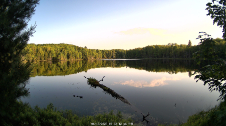 Image from 2025-06-19