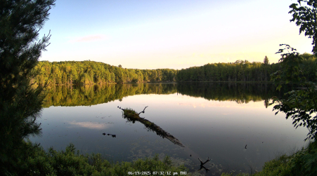 Image from 2025-06-19