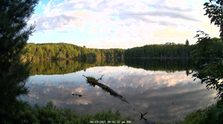 Image from 2025-06-19