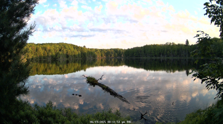 Image from 2025-06-19
