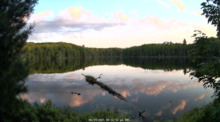 Image from 2025-06-19