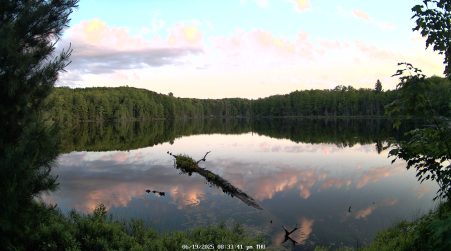 Image from 2025-06-19
