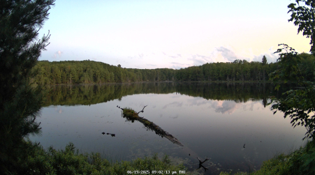 Image from 2025-06-19