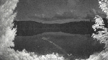 Image from 2025-06-19