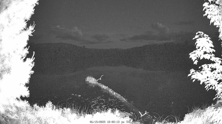 Image from 2025-06-19