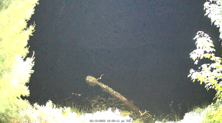 Image from 2025-06-19