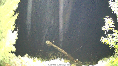 Image from 2025-06-19