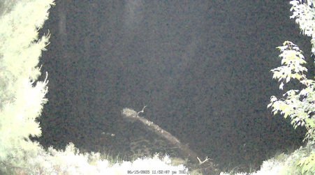Image from 2025-06-19