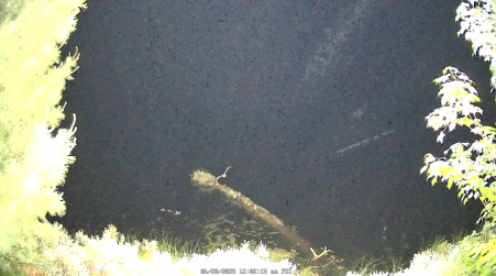 Image from 2025-06-20
