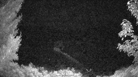Image from 2025-06-20
