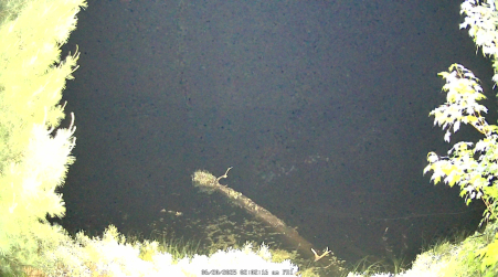 Image from 2025-06-20