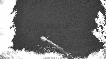 Image from 2025-06-20