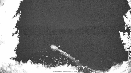Image from 2025-06-20