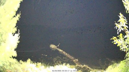Image from 2025-06-20