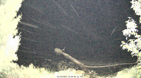 Image from 2025-06-20