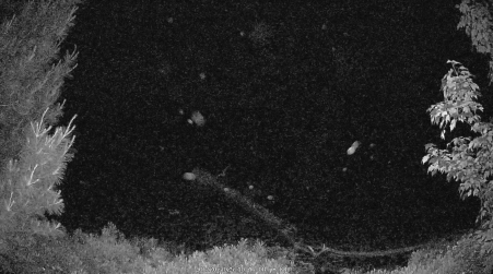 Image from 2025-06-20