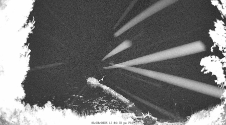 Image from 2025-06-20