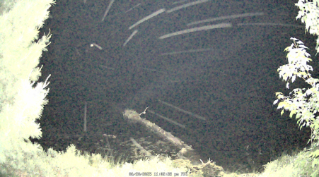 Image from 2025-06-20