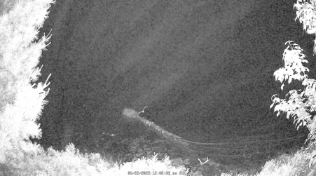 Image from 2025-06-22