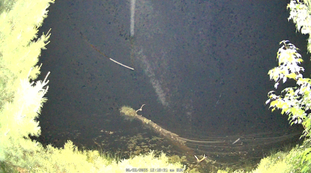 Image from 2025-06-22
