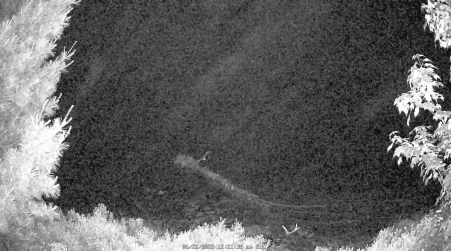 Image from 2025-06-22