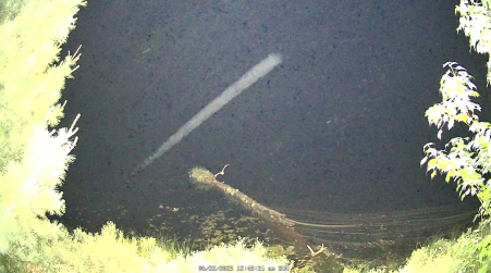 Image from 2025-06-22
