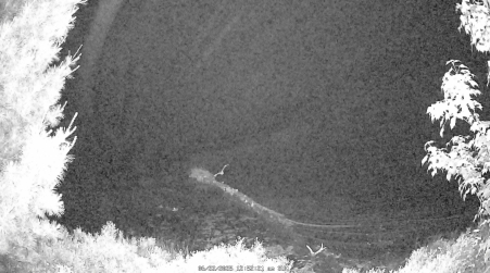 Image from 2025-06-22