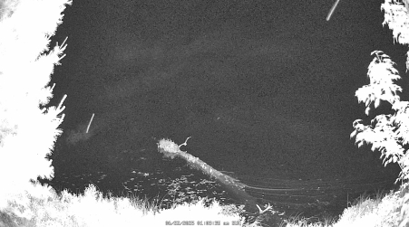 Image from 2025-06-22