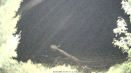 Image from 2025-06-22
