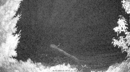 Image from 2025-06-22
