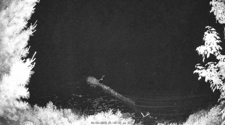 Image from 2025-06-22