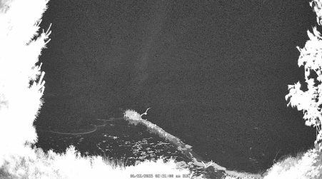 Image from 2025-06-22