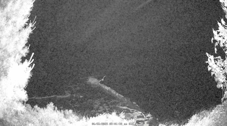 Image from 2025-06-22