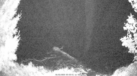 Image from 2025-06-22