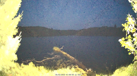 Image from 2025-06-22