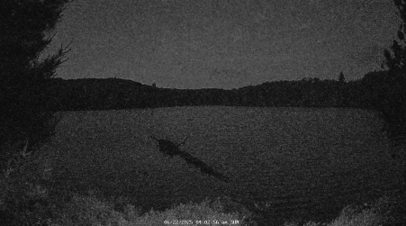 Image from 2025-06-22