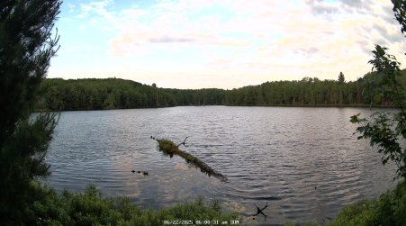 Image from 2025-06-22