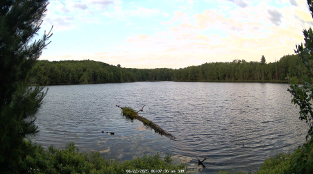Image from 2025-06-22