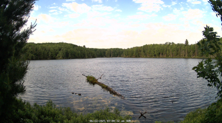 Image from 2025-06-22