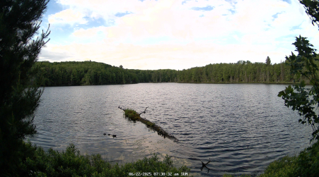 Image from 2025-06-22