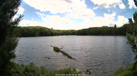 Image from 2025-06-22