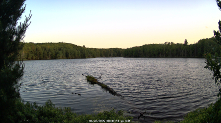Image from 2025-06-22