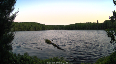 Image from 2025-06-22