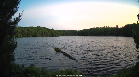 Image from 2025-06-22