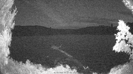 Image from 2025-06-22